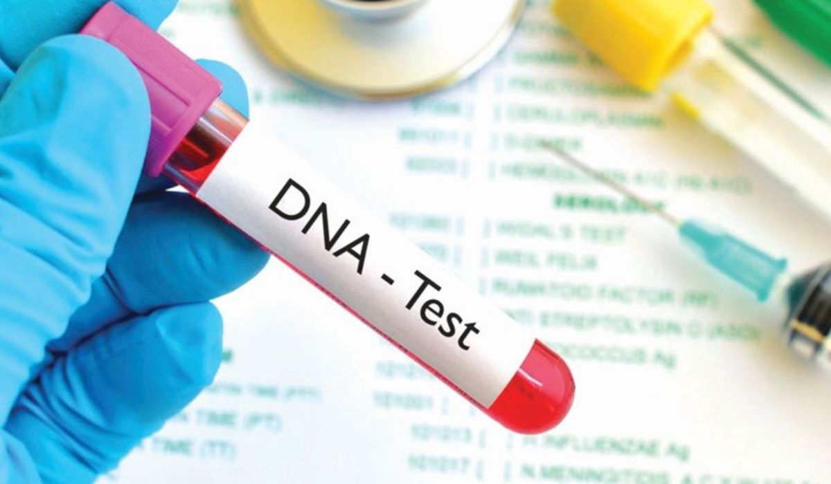 Which DNA Test Is The Most Accurate?